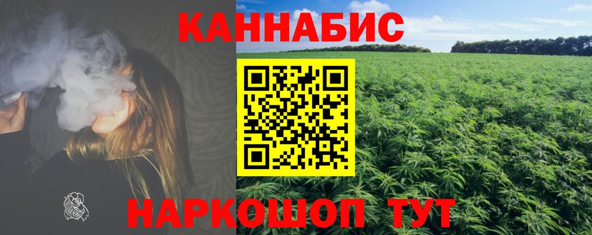 Шишки марихуана конопля  Шишки марихуана OG Kush  Шебекино  Бошки Шишки тримм  Бошки марихуана сатива  Вход с VPN 